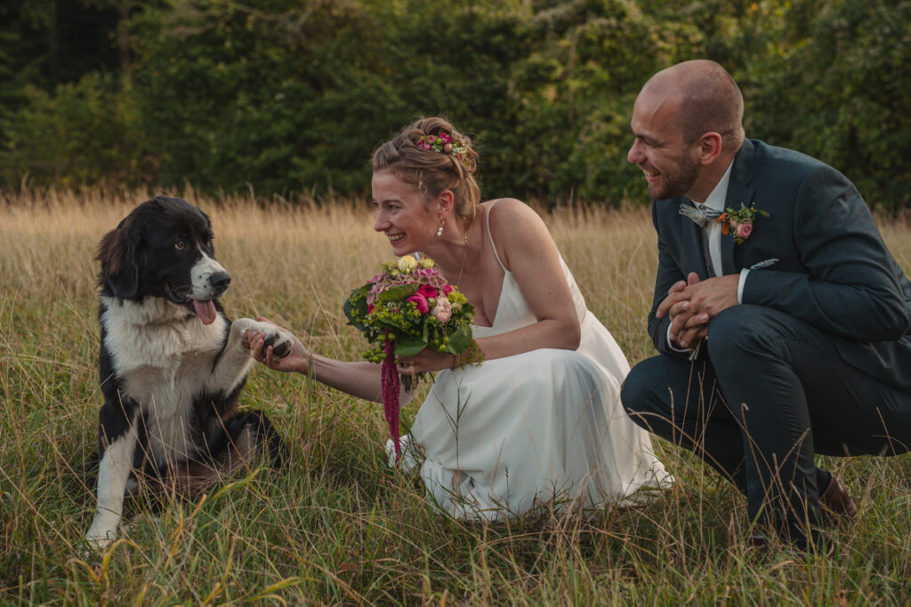Glückliches Brautpaar kniet lachend neben seinem Hund auf einer Wiese.