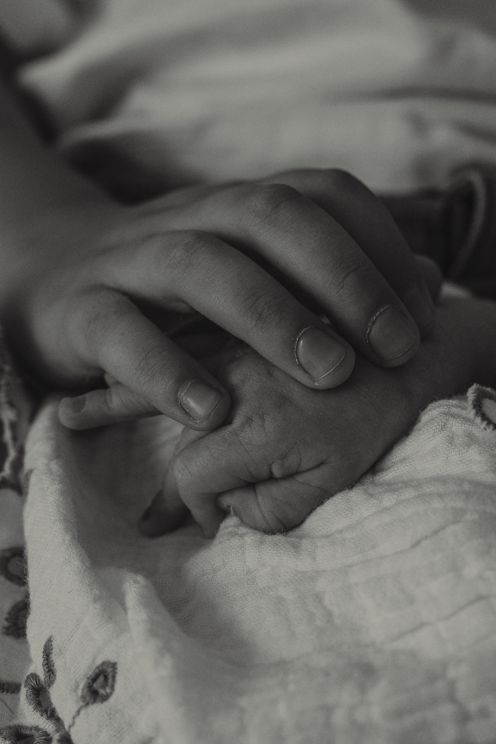Kleine Hand eines Neugeborenen liegt sanft unter der Hand des Bruders.